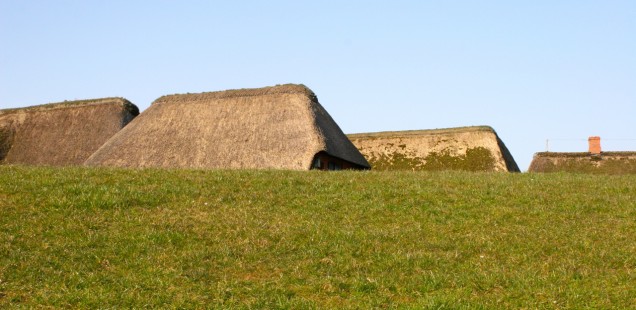 Nach Langeneß nach Oland und zurück